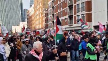 Palestine Solidarity march