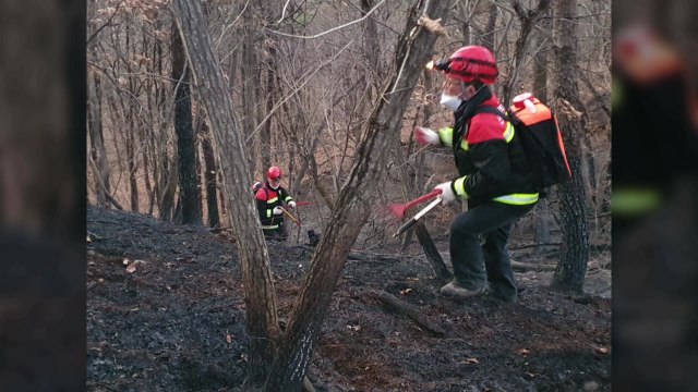 경기 화성시 야산에서 불...40여 분 만에 진화 / YTN