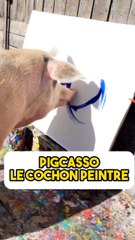 De l’art ou du cochon… RIP Pigcasso (avril 2016 - mars 2024)