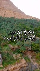 Surah At Tariq Verse 1 to 17  Most beautiful Reaction #surahtariq #ahmedisteyaque #ishwarekhain #kafiroallahsedaro #musalmanoquranpadho #tiktok2024 #quranramadan #ramjanmubarak #quranverses #ONLYONEALLAH #MuslimUmmah