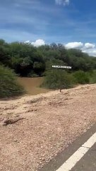 Paraje Marca Borrada afectado por el desborde del río Pilcomayo
