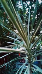 Sinematik video aestetic