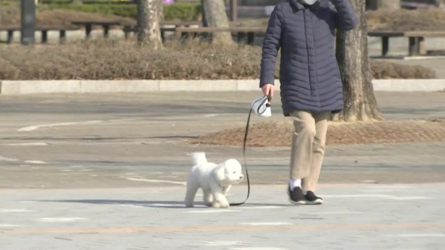 [날씨] 휴일, 맑고 따뜻한 봄 날씨...내일 오후 남부 비 시작 / YTN