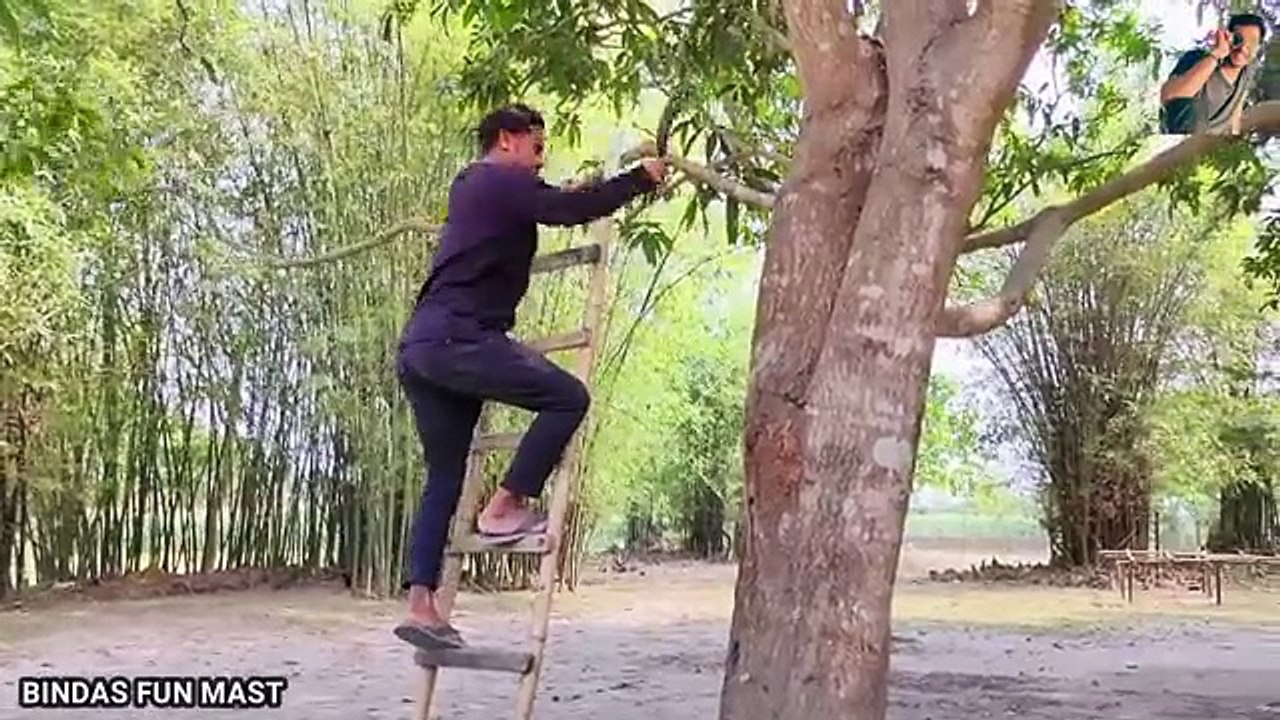 Village Vibes: A Hilarious Peek into Rural Humor!