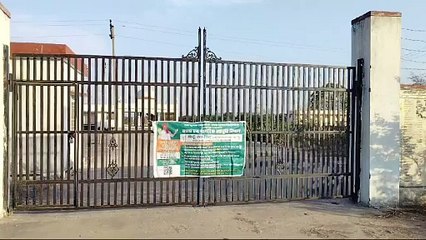 पिछले साल के मुकाबले इस बार गेहूं की खरीद पर मिलेंगे 275 रुपए अधिक