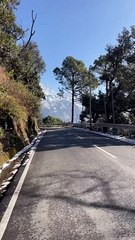 Forest view of Jammu and kashmir Road