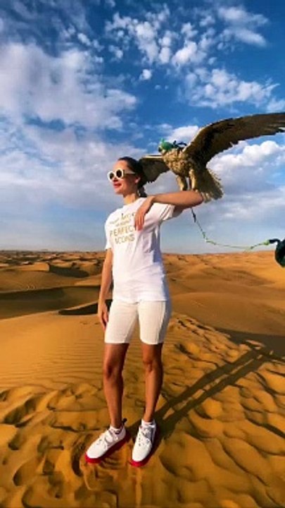 Falcon on hand at the desert safari Dubai