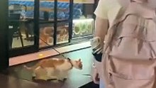 나를 구독하세요