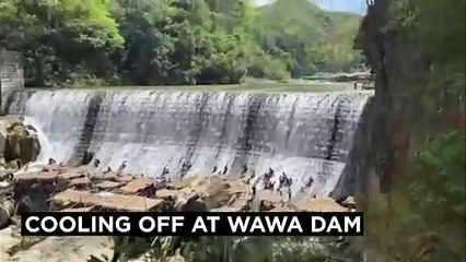 Cooling off at Wawa dam