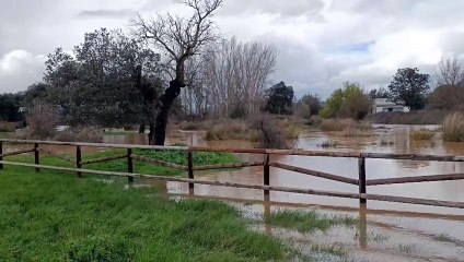 Crecida de los ríos por la borrasca Mónica.