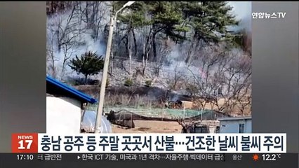 충남 공주 등 주말 곳곳서 산불…건조한 날씨 불씨 주의