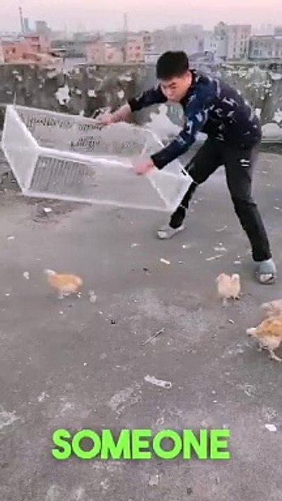 Ultimate Escape-Proof Chicken & Bird Cage Design!