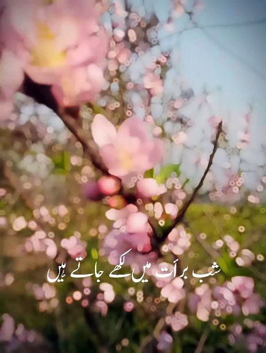 New islamic video