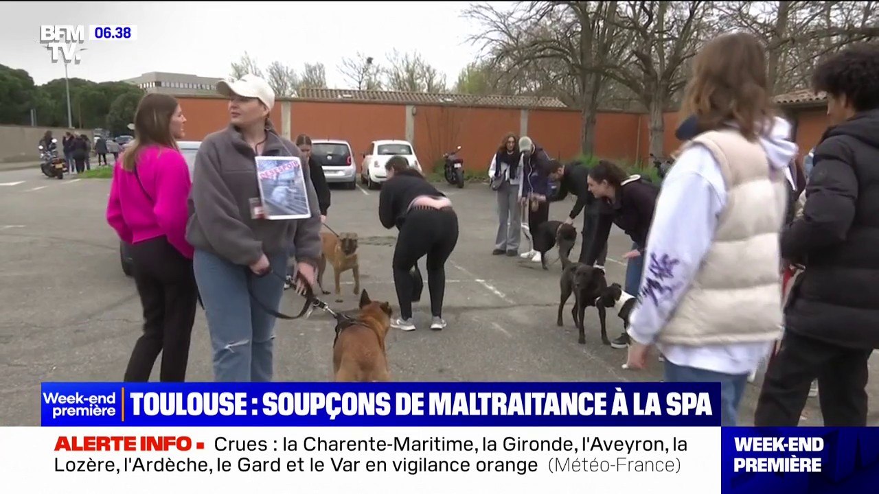 Une enquête judiciaire ouverte après des soupçons de maltraitance à la SPA de Toulouse