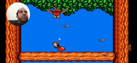 chip and dale nes