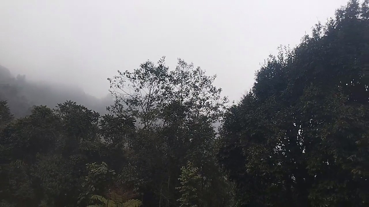 Mountains