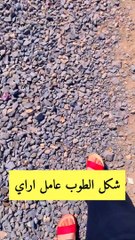 السكه الحديديه