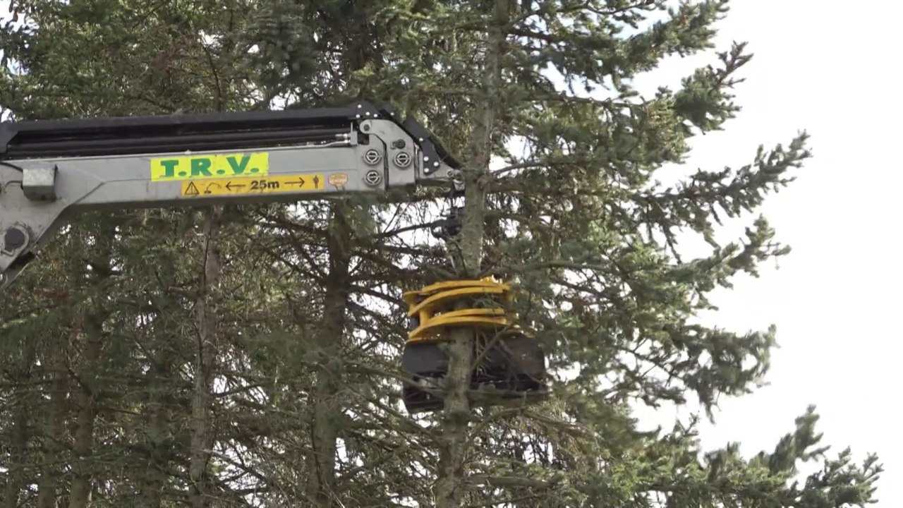 6' ENVIRONNEMENT - 10/03/24 - Arbres abattus et Chien de kart