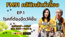 โรคที่ต้องฉีดวัคซีน EP.1 : FM91 คลินิกสัตว์เลี้ยง : 9 มีนาคม 2567