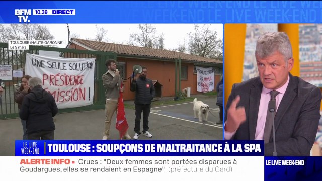 Soupçons de maltraitance à la SPA: Ce refuge n'a rien à voir avec nous assure Jacques Fombonne (Président de la SPA)