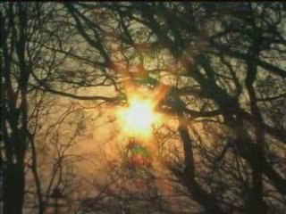 (Extra) Horikita Maki - Castella DVD 1