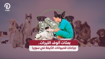 بمئات ألوف الليرات..  جراحات للحيوانات الأليفة في سورية