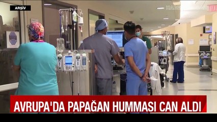 5 kişinin hayatını kaybettiği papağan humması vakaları artışta