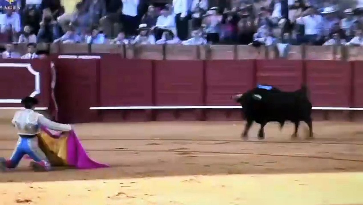 La Palmosilla