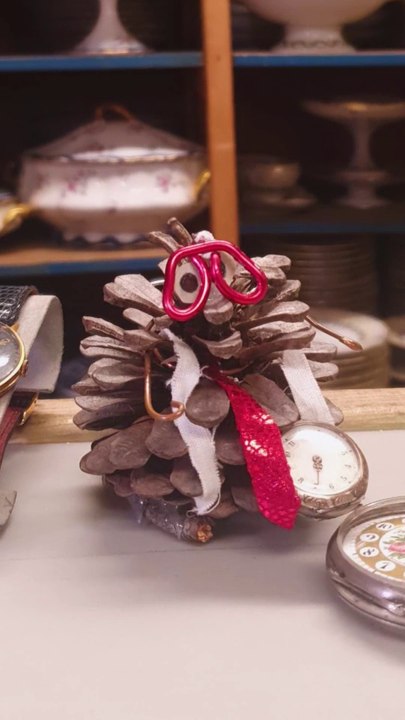 La Montre à Bracelet - Professeur Pin