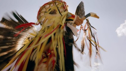 En quête de racines vidéo bande annonce