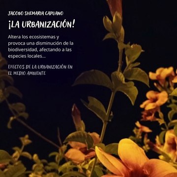 -Jacobo Shemaria Capuano- ¡Los efectos de la urbanización en el medio ambiente son innegables! (Parte 2) (Creado por @JacoboShemariaCapuano)