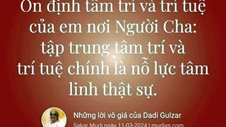 Những lời vô giá của Dadi Gulzar | BKWSU VN (murli VN)