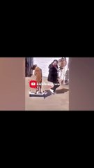 The Funniest Fails and Bloopers (Try Not to Laugh Challenge) part-37 part-3