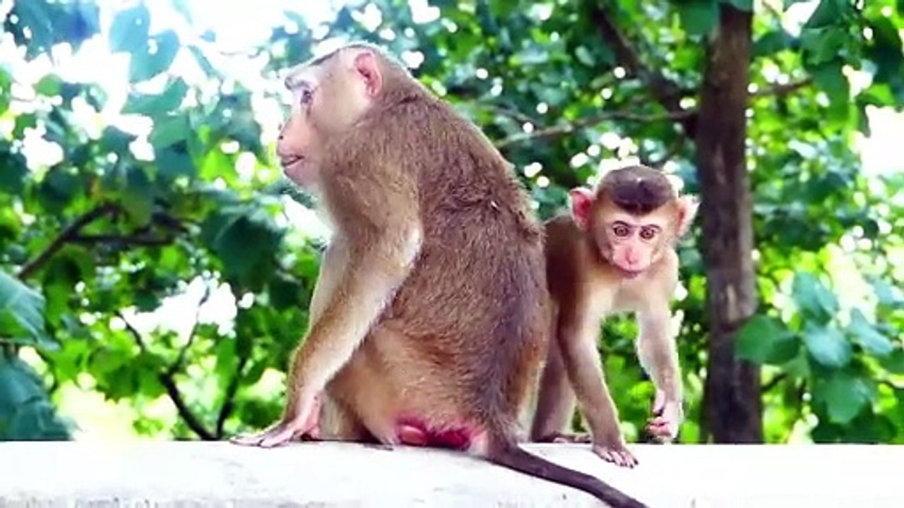 Very hard to see mother Sarika twist baby Saro's neck to remove food, Sarika is so mean mom (720p_25fps_H264-192kbit_AAC)