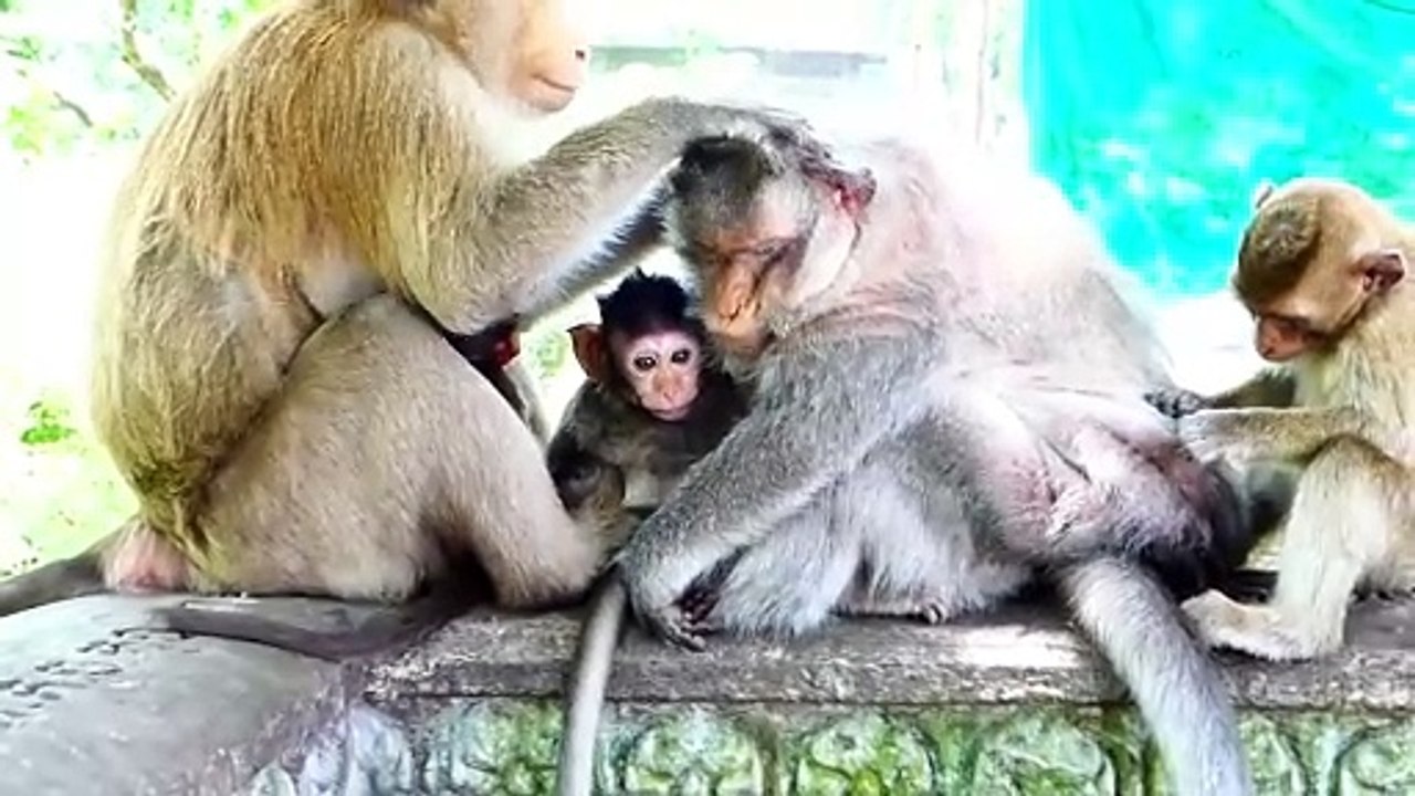 Very Bad Mother Barry, Barry Mistreats Baby Bella Till Falling Down From High Place (720p_25fps_H264-192kbit_AAC)