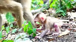 Very Good Mommy!, Sarika Rapidly Picks Up When He Is Screaming (720p_25fps_H264-192kbit_AAC)