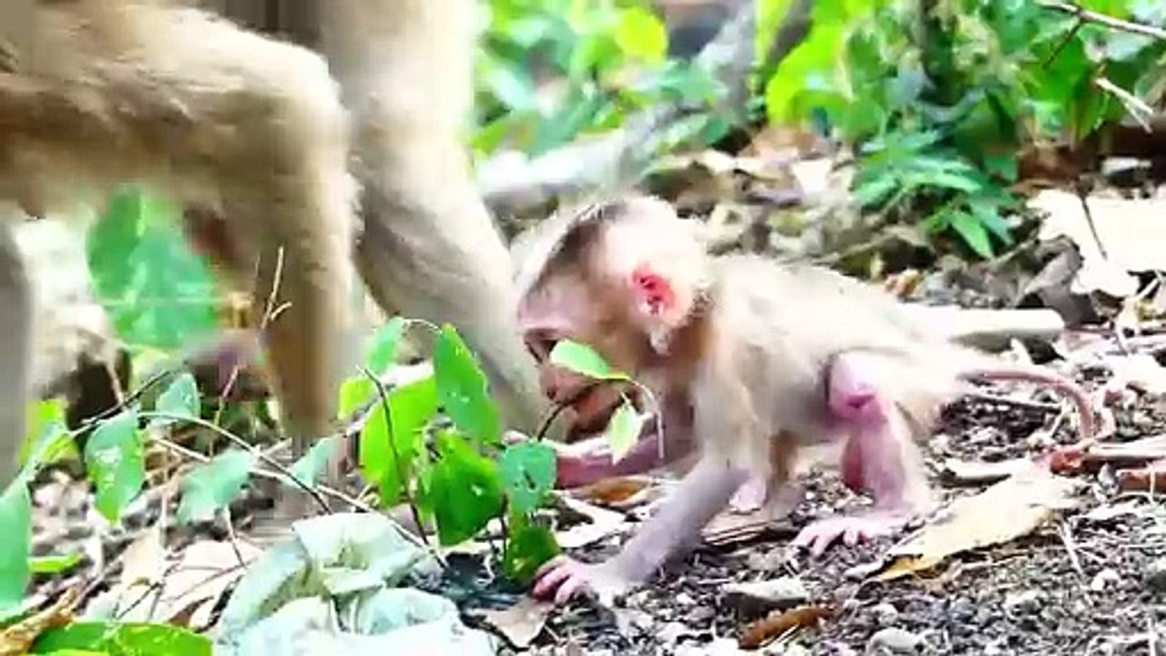 Very Good Mommy!, Sarika Rapidly Picks Up When He Is Screaming (720p_25fps_H264-192kbit_AAC)