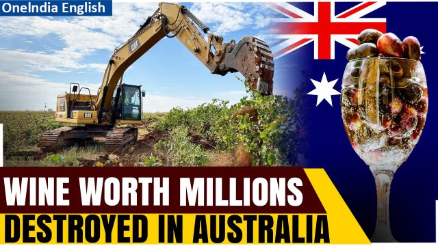 Australian Wine Crisis: Farmers Uproot Millions of Vines | The Grapevine Report| Oneindia News