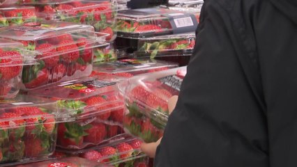 올해 들어 식료품 물가 7% 가까이 뛰어...실질 소비↓ / YTN