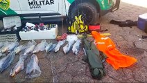 Polícia Ambiental apreende peixes pescados acima da quantidade permitida no Rio Paraná