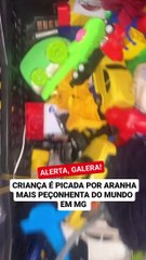 Aranha-armadeira se esconde em caixa de brinquedo e pica criança de 3 anos