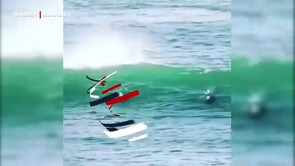 Acemi sörfçüye dalgayla gelen sürpriz misafir! Vole vurur gibi vurdu