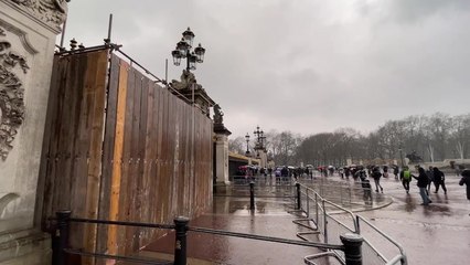 Man arrested after car crashes into Buckingham Palace gates