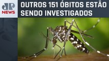 São Paulo registra mais de 177 mil casos e 51 mortes confirmadas de dengue