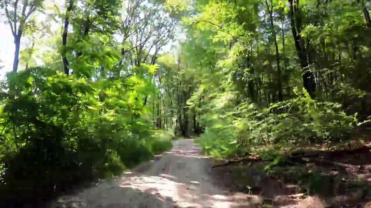 Verborgener Trail vom Bisamberg hinunter (POV E-MTB)