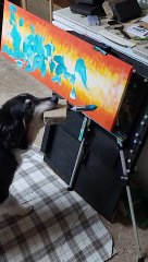 Cody the Painting Doggo Creates Another Masterpiece