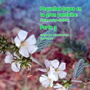 Moises Shemaria Capuano| Además (Parte 3)