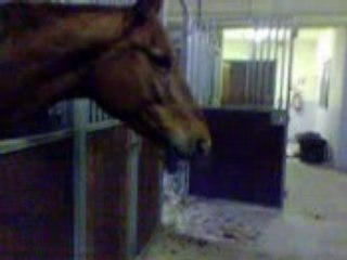 Laura ; Tu nous fait quoi la ? xD