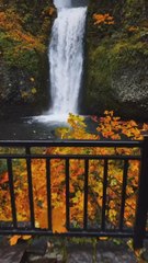 LA PLUS CHARMANTE cascade de l’Oregon [@zackkore]