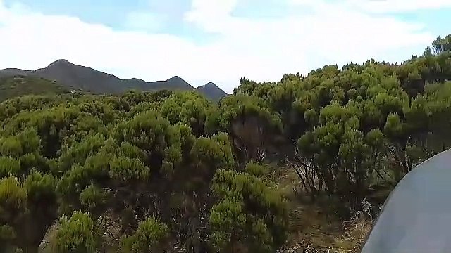 Do you believe in hiking & camping as a therapy?